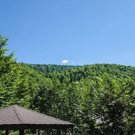 Chez Marcel * Sinaia